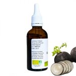 Alcoolature de radis noir - raphanus sativus - flacon de 50ml
