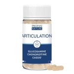Articulation - glucosamine chondrotine & cassis - glules hautement doses  980mg