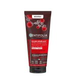 Baume apr�s - shampooing - centifolia