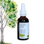 Complexe minceur - bourgeons de bouleau, chtaignier, noisetier - gemmothrapie flacon de 50ml