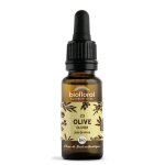 Fleurs de bach n�23 olive, olivier