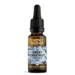 Fleurs de bach n�30 sweet chestnut, ch�taignier