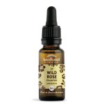 Fleurs de bach n37 wild rose, eglantier