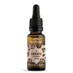 Fleurs de bach n�5 cerato, plumbago