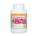 Harpagophytum bio ab 200 comprims doss  400 mg en comprims.