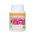 Harpagophytum bio ab doss  400 mg en comprims.