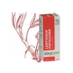 Huile essentielle lentisque pistachier (pistacia lentiscus) bio - 10ml - aromathérapie Huile essentielle lentisque pistachier (pistacia lentiscus) bio - 10ml - aromathérapie