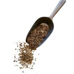 Tisane angelique racine ct angelica archangelica