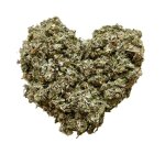 Tisane artichaut feuille ct 1 kilo cynara scolymus. Tisane artichaut feuille ct 1 kilo cynara scolymus.
