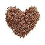 Tisane bourgeon de pin extra entier pinus sylvestris.