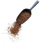 Tisane coriandre semence entiere 250 grs coriandrum sativum