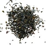Tisane fucus vésiculeux 1 kilo (varech) thalle fucus vesiculosus Tisane fucus vésiculeux 1 kilo (varech) thalle fucus vesiculosus