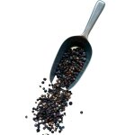 Tisane geni�vre baie rs juniperus communis.