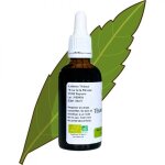 Tisane instantane de verveine - aloysia citrodora - flacon de 50ml