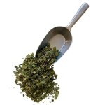Tisane mlisse feuille entiere mlissa officinalis