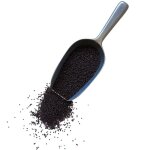 Tisane moutarde noire 1 kilo graine entiere. Tisane moutarde noire 1 kilo graine entiere.