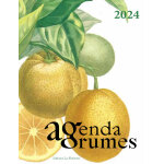 Agenda agrumes 2024 aux ditions la maison - multicolore 23 x 17 cm