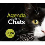 Agenda des chats 2024 aux �ditions m�tive - multicolore 19 x 16 cm