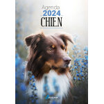 Agenda chien 2024 artemis