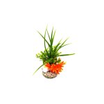 Algue épée verte en plastique avec pierres 10 x 28 cm Algue épée verte en plastique avec pierres 10 x 28 cm