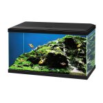 Aquarium 60 led cfbio150 - 60 x 30 x 32 cm