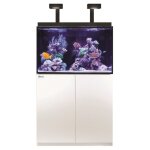 Aquarium eau de mer avec un meuble coloris blanc max® e 260 led red sea - 90 x 57, 5 x Aquarium eau de mer avec un meuble coloris blanc max® e 260 led red sea - 90 x 57, 5 x
