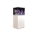 Aquarium eau de mer avec un meuble coloris blanc reefer 170 red sea - 60 x 50 x 137