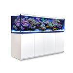 Aquarium eau de mer avec un meuble coloris blanc reefer 3xl 900 red sea - 200 x 65 x Aquarium eau de mer avec un meuble coloris blanc reefer 3xl 900 red sea - 200 x 65 x