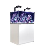 Aquarium eau de mer avec un meuble coloris blanc reefer deluxe xl 300 red sea - 90 x