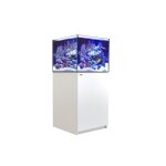 Aquarium eau de mer avec un meuble coloris blanc reefer xl 200 red sea - 60 x 57, 5 x Aquarium eau de mer avec un meuble coloris blanc reefer xl 200 red sea - 60 x 57, 5 x