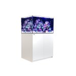 Aquarium eau de mer avec un meuble coloris blanc reefer xl 300 red sea - 90 x 57, 5 x Aquarium eau de mer avec un meuble coloris blanc reefer xl 300 red sea - 90 x 57, 5 x