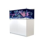 Aquarium eau de mer avec un meuble coloris blanc reefer xl 425 red sea - 120 x 57, 5