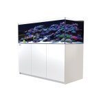 Aquarium eau de mer avec un meuble coloris blanc reefer xl 525 red sea - 150 x 57, 5