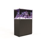 Aquarium eau de mer avec un meuble coloris noir reefer 250 red sea - 90 x 50 x 140 c