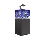 Aquarium eau de mer avec un meuble coloris noir reefer deluxe xl 200 red sea - 60 x Aquarium eau de mer avec un meuble coloris noir reefer deluxe xl 200 red sea - 60 x