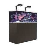 Aquarium eau de mer avec un meuble coloris noir reefer deluxe xl 425 red sea - 120 x Aquarium eau de mer avec un meuble coloris noir reefer deluxe xl 425 red sea - 120 x