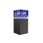 Aquarium eau de mer avec un meuble coloris noir reefer xl 200 red sea - 60 x 57, 5 x Aquarium eau de mer avec un meuble coloris noir reefer xl 200 red sea - 60 x 57, 5 x