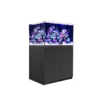 Aquarium eau de mer avec un meuble coloris noir reefer xl 300 red sea - 90 x 57, 5 x Aquarium eau de mer avec un meuble coloris noir reefer xl 300 red sea - 90 x 57, 5 x