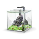 Aquarium équipé kubus - 33l Aquarium équipé kubus - 33l
