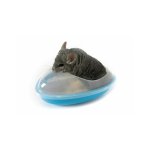 Baignoire chinchillas