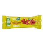 Barres aux cranberries bio 40 g