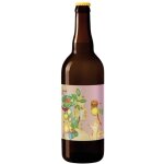 Bire aigre fruit blanche bio brasseurs cueilleurs - 75 cl