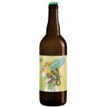 Bire fleur amre ipa ambre bio brasseurs cueilleurs - 75 cl