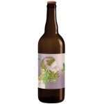 Bire grain suave rousse bio brasseurs cueilleurs - 75 cl