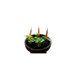 Boîte 3 crayons à planter 19, 5x2, 5x2 cm à partir de 8 ans Boîte 3 crayons à planter 19, 5x2, 5x2 cm à partir de 8 ans