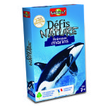 Boite de jeu d�fis nature sur le th�me des animaux marins