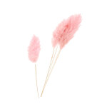 Botte de fleurs séchées herbes de la pampa (cortaderia) rose misty naturalys Botte de fleurs séchées herbes de la pampa (cortaderia) rose misty naturalys
