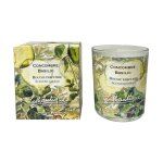Bougie lothantique jardin d'aquarelles concombre basilic 160 g