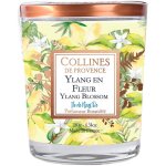 Bougie parfum�e senteur ylang en fleur collines de provence - 180 g
