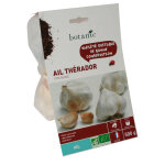 Bulbes d ail blanc therador ab bio 55 +